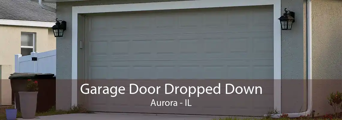 Garage Door Dropped Down Aurora - IL