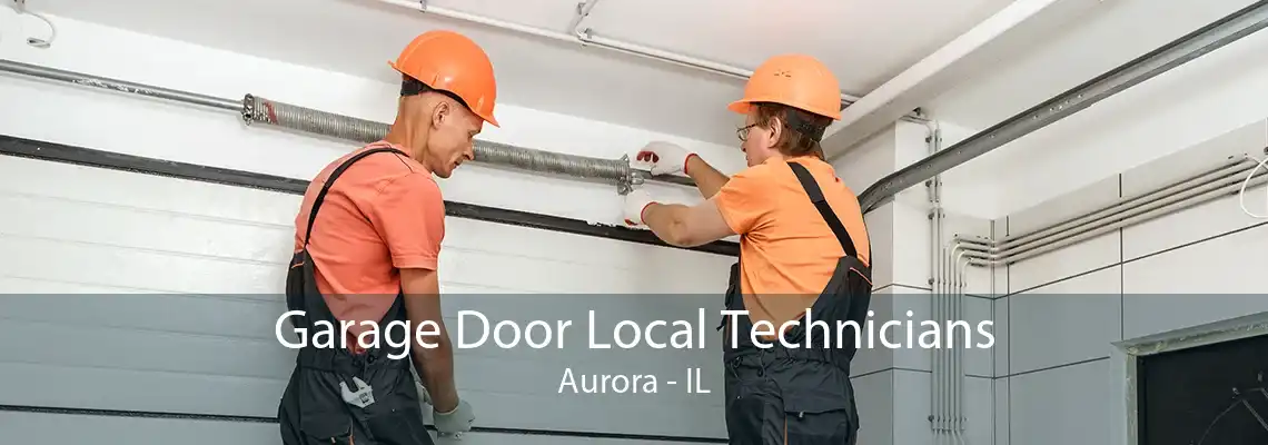 Garage Door Local Technicians Aurora - IL