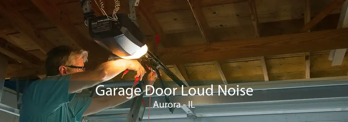 Garage Door Loud Noise Aurora - IL