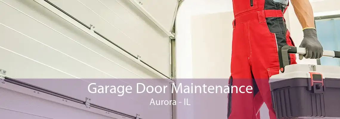 Garage Door Maintenance Aurora - IL