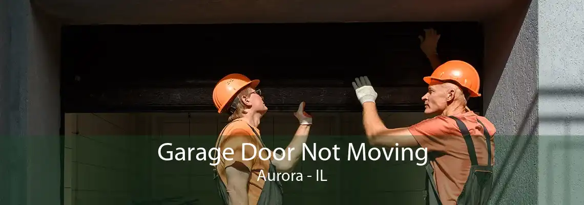 Garage Door Not Moving Aurora - IL