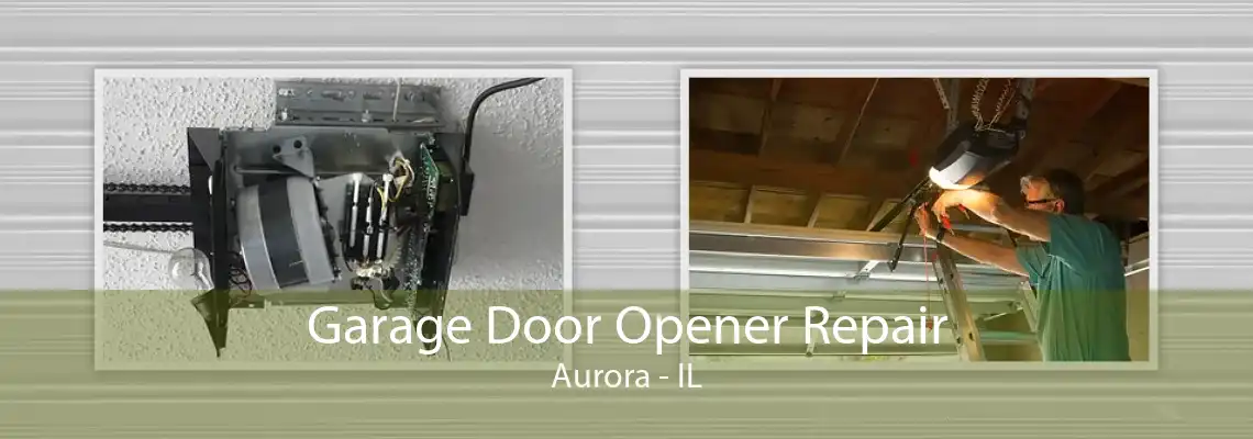 Garage Door Opener Repair Aurora - IL