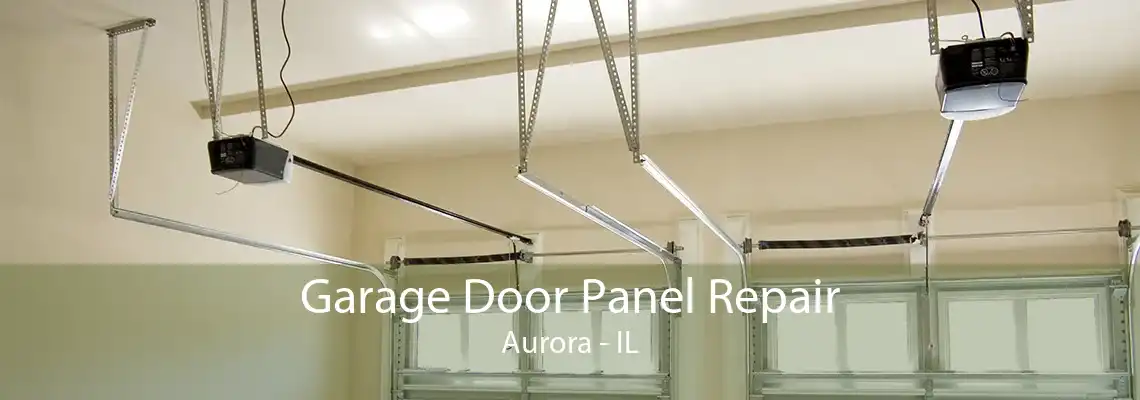 Garage Door Panel Repair Aurora - IL