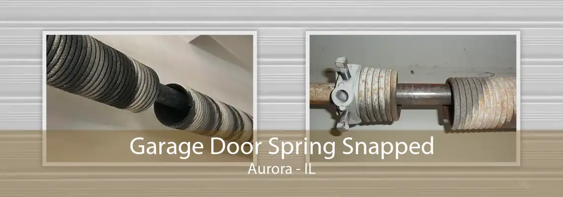 Garage Door Spring Snapped Aurora - IL