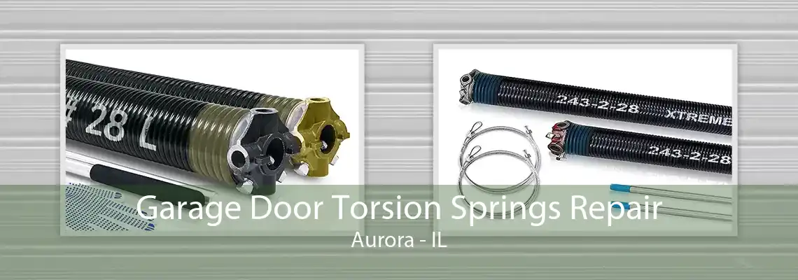 Garage Door Torsion Springs Repair Aurora - IL