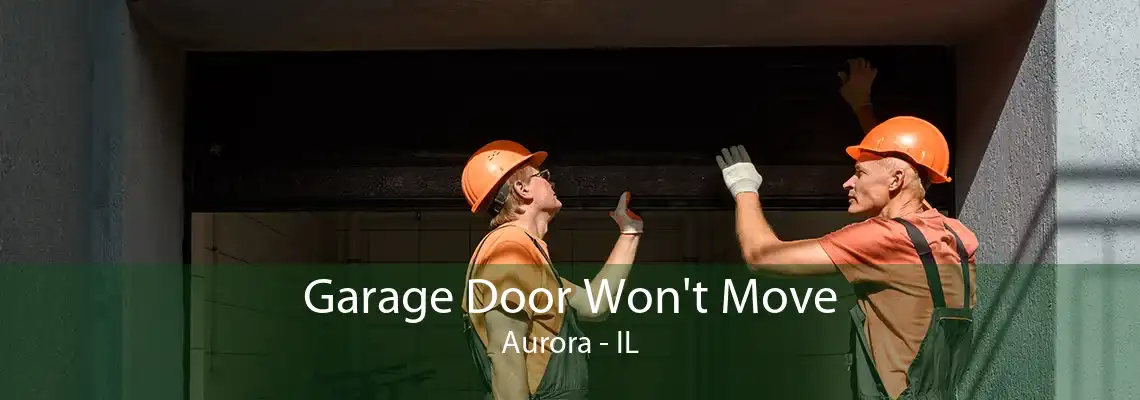 Garage Door Won't Move Aurora - IL