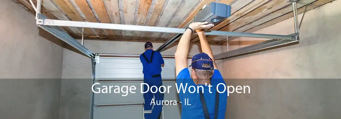 Garage Door Won't Open Aurora - IL