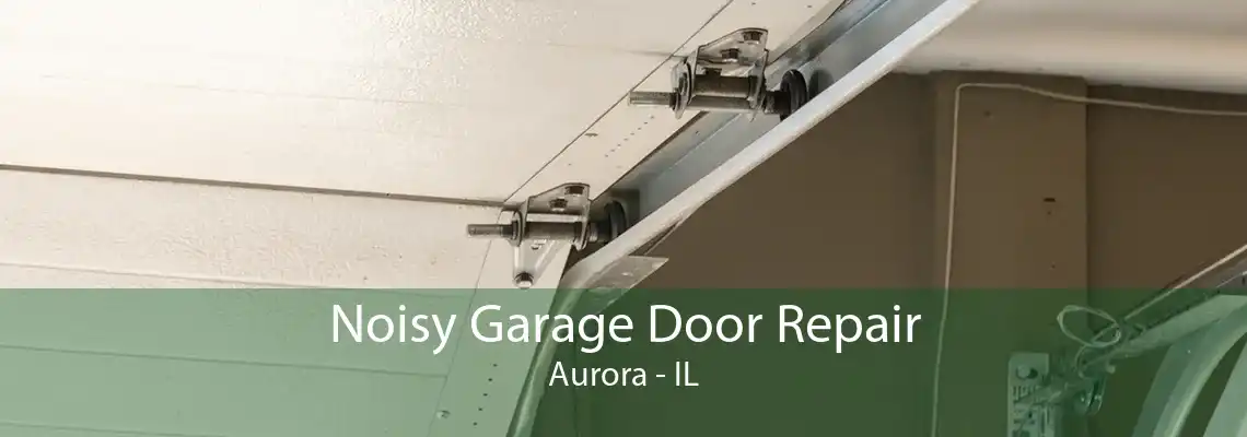 Noisy Garage Door Repair Aurora - IL