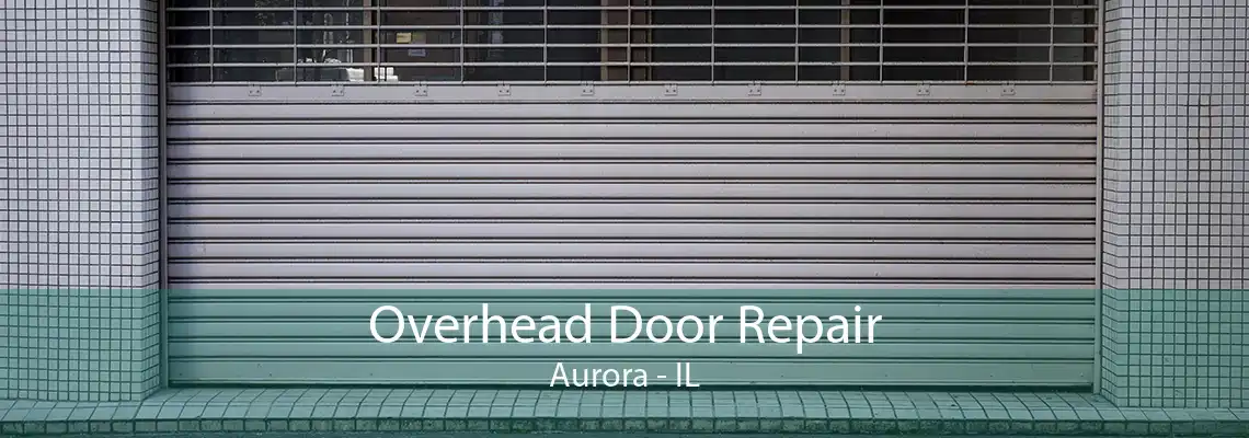 Overhead Door Repair Aurora - IL