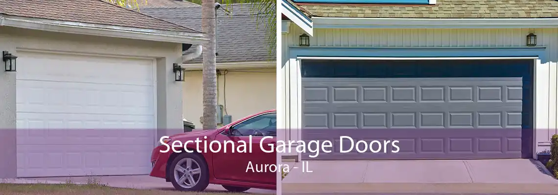 Sectional Garage Doors Aurora - IL